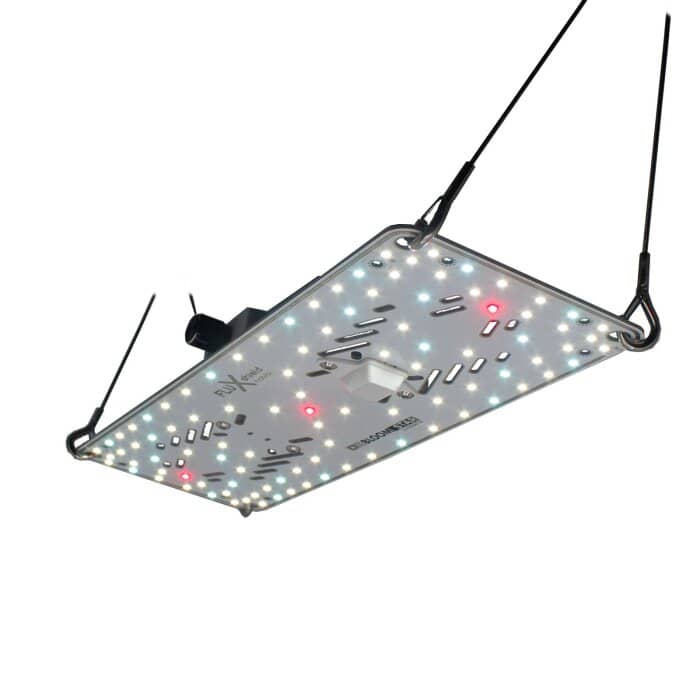 bloomstar-fluxshield-habibi-150-50w-vollspektrum.jpg